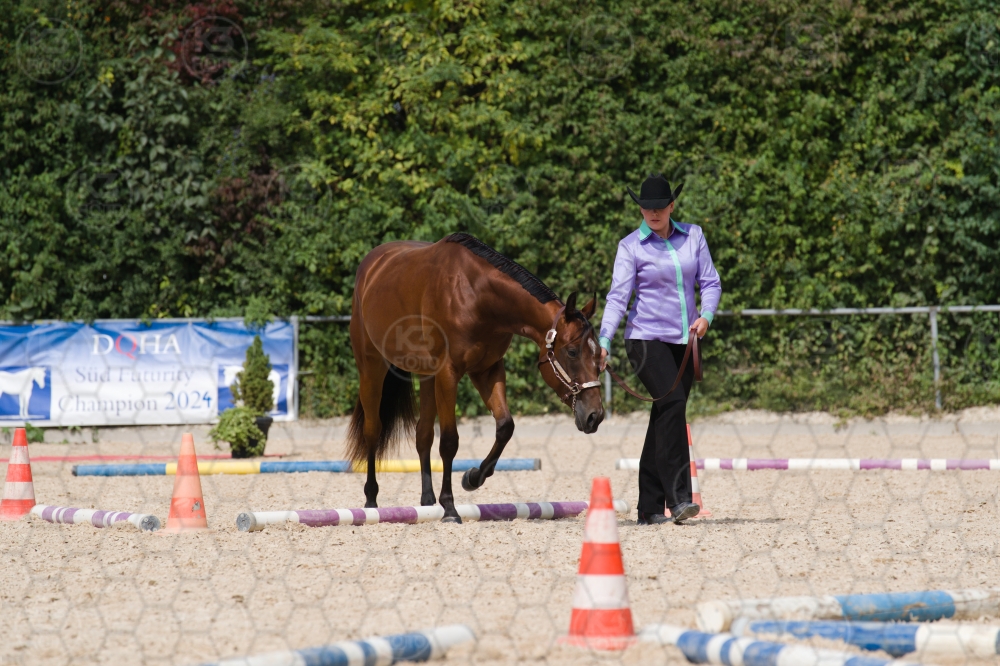 s_batch_A9_00031.jpg